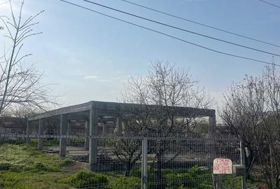 Spațiu comercial, în Lumina - 2