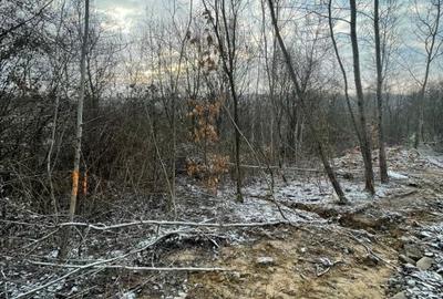 Spațiu comercial, în Colțirea - 3