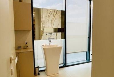 Floreasca | Penthouse | Duplex | Pescariu | Terasa - 25