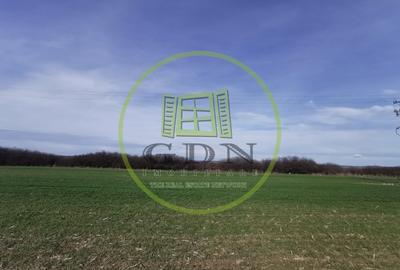 Teren agricol extravilan de 21496 mp, în Săcădat - 8