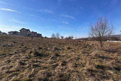 Teren de 800 mp, în Central - 1