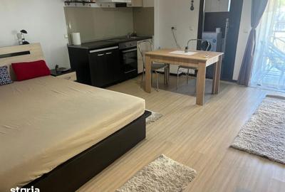 Garsonieră decomandată, mobilată în Podu Roș - 3