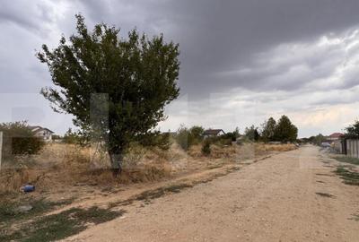 Teren intravilan 702 mp, front 18 mp, zona Metro Teren intravilan 702 mp, front 18 mp, zona Metro - 4