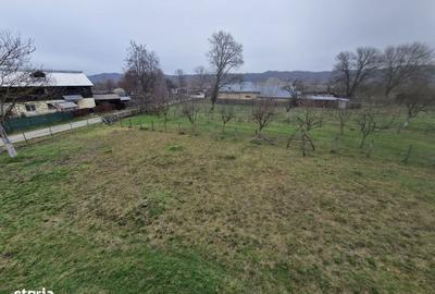 Teren de 400 mp, în Domnești - 5