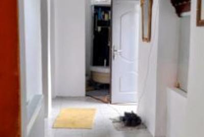 Apartament la curte cu 2 intrari - 2