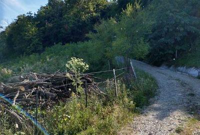 Teren de 300000 mp, în Roșia de Amaradia - 2