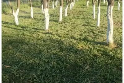 Casă cu 3 camere în Mihăești - 10