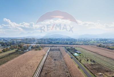 Teren Brasov -Strada Aron Pumnul, 520-1040-2600 mp, 5 loturi - 3