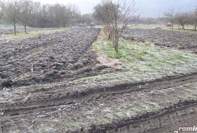 Vand casa curte si gradina in Branisca (la 15 Km de Municipiul Deva), suprafata de teren 2245 mp - 19