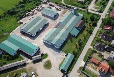 Hale de vanzare-ideale pentru depozit sau productie - 8