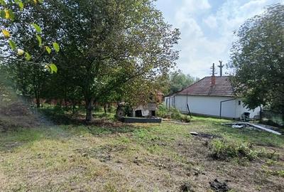 Casa de vanzare Sarmasu(Balda) - 6