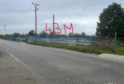 Hala cu cladire de inchiriat deschidere la strada 43m - 10