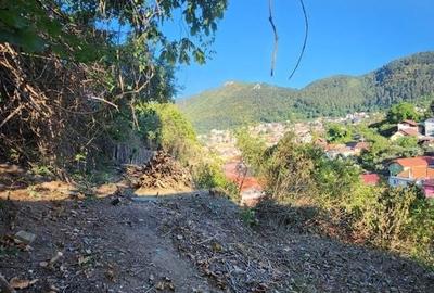 CASA CU TEREN IN Cartierul Schei CASA CU TEREN IN Cartierul Schei - 7