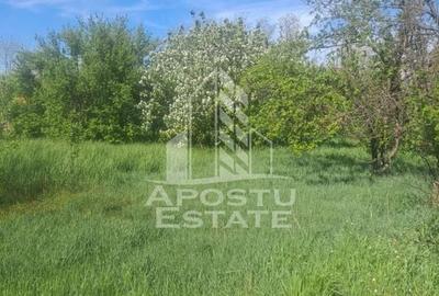 Casa individuala in Cruceni ,la granita cu Serbia - 12