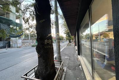 Spațiu comercial, 180 mp în Ștefan cel Mare - 3