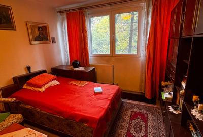 GIURGIULUI DRUMUL GAZARULUI - 4