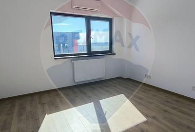 Hale noi de inchiriat Domnesti - putere instalata pana la 600kva - 24