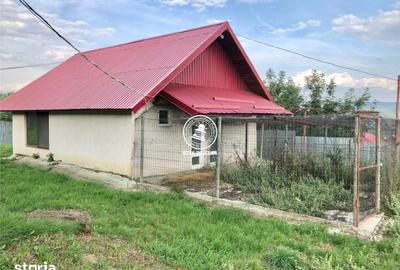 Teren de 6200 mp, în Mogoșești - 11