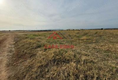 Teren intravilan in Baicoi zona targului--10.000mp--5e - 5