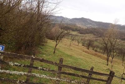 Teren de 2500 mp, în Urseiu - 1