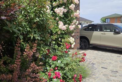 Vila superba in Paradisul Verde Corbeanca - 5