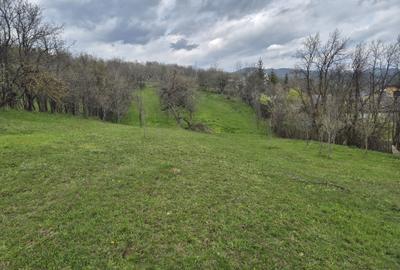 Spațiu comercial, în Făget - 4