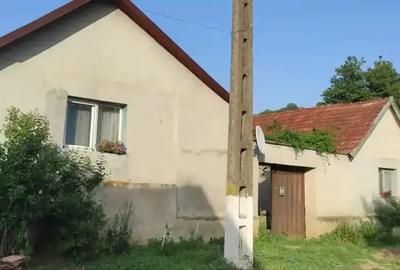 Casa de vanzare in Secaseni - 1