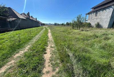 Teren de 5700 mp, în Teiu - 3