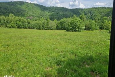 Teren de 4411 mp, în Băișoara - 1