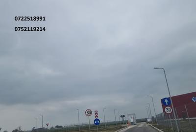 Teren cu potential, 90000 mp, DN2, Afumati, Sindrilita, 18 e/mp - 3
