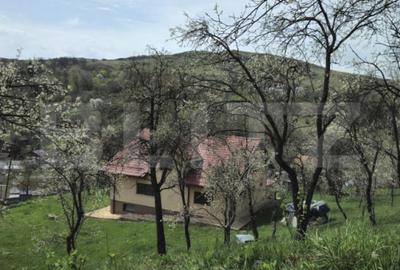 Casă cu 5 camere cu Teren 3000 Mp în Runcu - 7