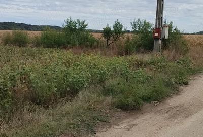 Teren în Poiana Lacului - 1