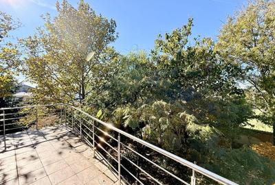 Duplex 14 camere Pantelimon Cernica 864 mp desfasurati - 8