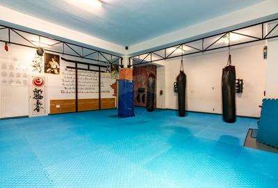 Vila spatioasa si versatila - Zona Margeanului, Bucuresti - 1