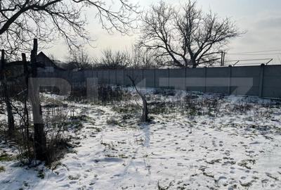 Casa batraneasca + teren 1426 mp, Malu Mare , zona Profi - 5