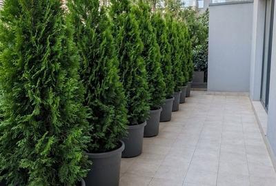 Apartament cu 3 camere, mobilat în Tei - 5