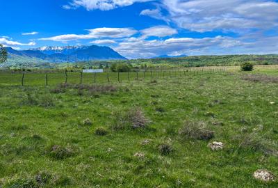 Teren Bran Zarnesti 3 km Castelul Bran 25 km Brasov Teren Bran Zarnesti 3 km Castelul Bran 25 km Brasov - 6