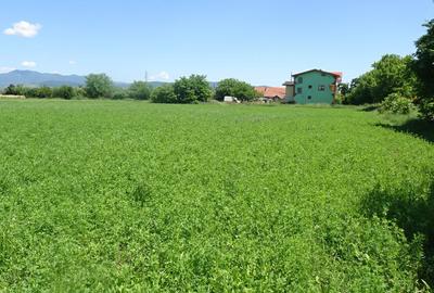 Teren de 14720 mp, în Hărăului - 10