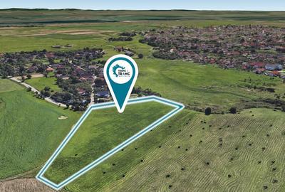 Teren de 11500 mp pentru Complex Reziden?ial in Sannicolau Mic - 2