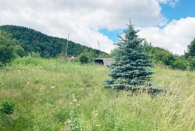 Teren de 3000 mp, în Alexandru cel Bun - 2