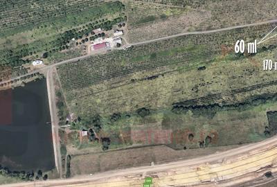 Ocazie: Teren deosebit, 6.500 mp langa CSI Logistic, Rusciori |VIDEO