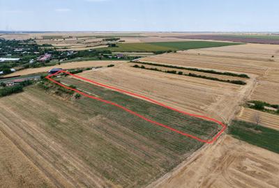 Teren Budeni - Delta Comana - Giurgiu - 3