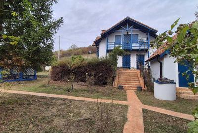 Casă cu 4 camere în Eșelnița - 8