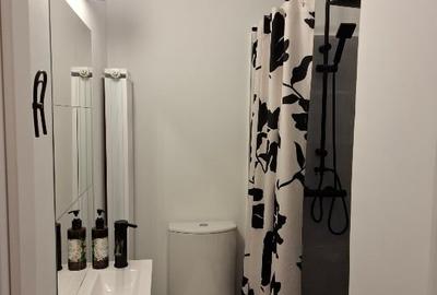 Apartament cu 3 camere semidecomandat, mobilat în Tineretului - 12