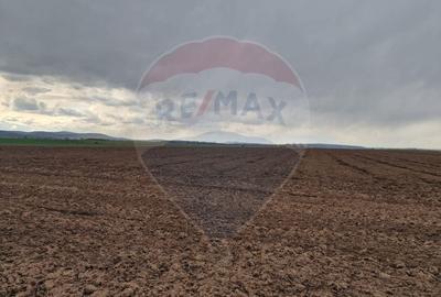 Teren 10,000mp Bacau / Strada Alexandru Safran - 13