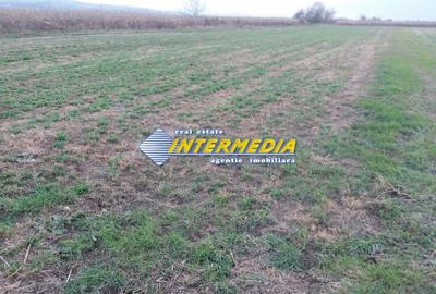 Teren Construcții de 5000 mp, în Industrială - 1