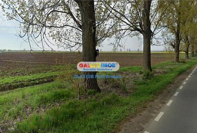 Teren intravilan de 17800 mp, în Dascălu - 2