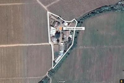 Crama de vanzare Odobesti -Vartescoiu - 2