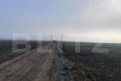 Teren de 8400 mp, în Miroslava - 2