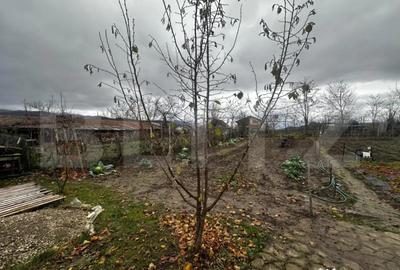 Casă cu 4 camere cu Teren 650 Mp în Vințu de Jos - 7